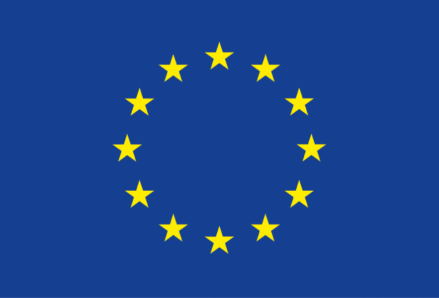 EU Logo